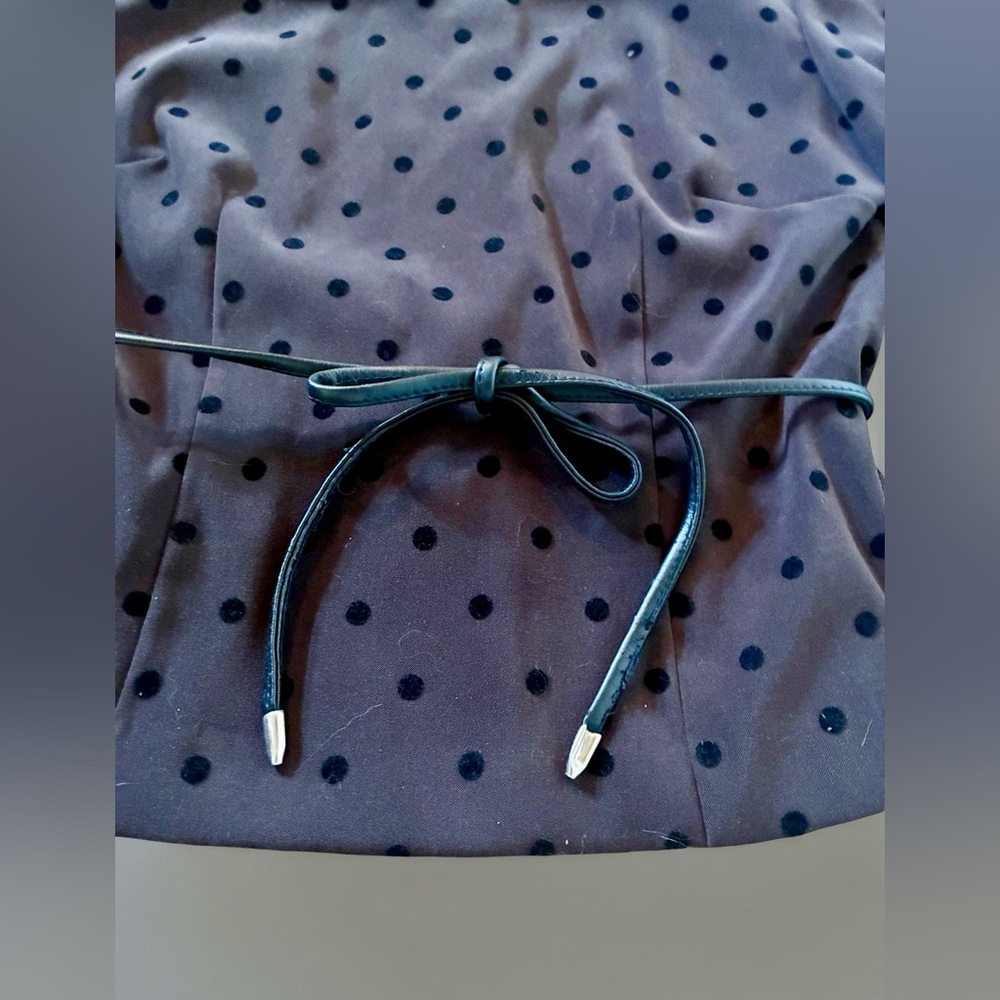 Positive Attitude Brown and Black Polka Dot Top with Belt and Button Back - Picture 2 of 6